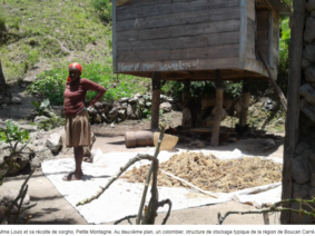 Renforcement des communautés paysannes, Boucan Carré, Centre, Haïti 18