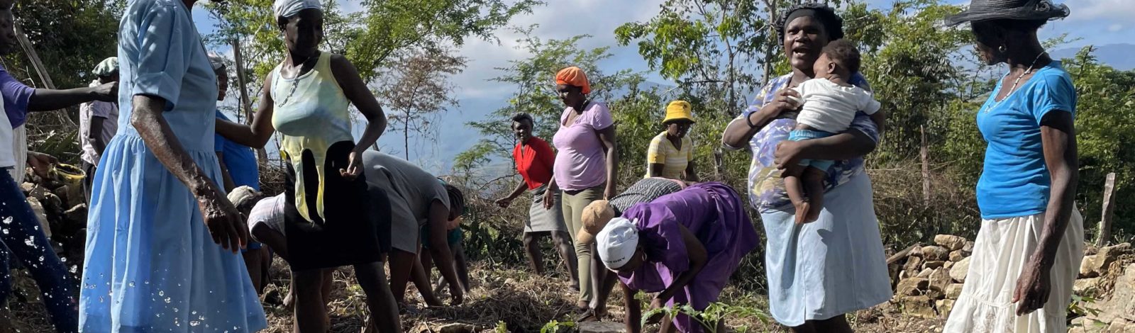 « Yon dwet pa manje kalalou » - Renforcement de la production, la transformation et la vente des produits de l’agriculture familiale en Haïti