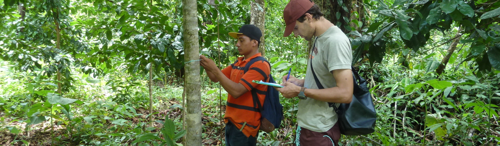 Appui à une gestion écologique de l'environnement avec les communautés indigènes de la Côte atlantique du Nicaragua 2