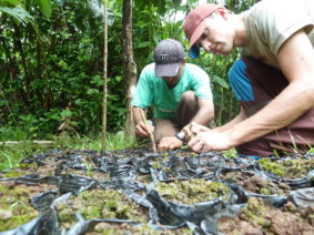Appui à une gestion écologique de l'environnement avec les communautés indigènes de la Côte atlantique du Nicaragua 4