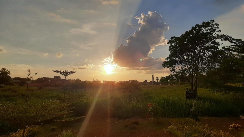 Les premières semaines de Bastian en Ouganda 🇺🇬 1